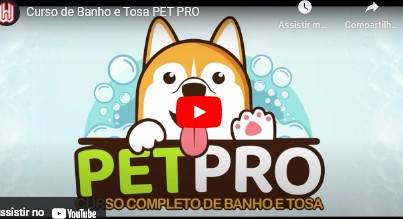 Curso de Banho e Tosa Pet Pro
