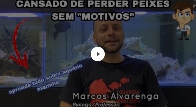Aquarismo Sem Mistério Com Marcos Alvarenga