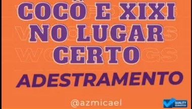 Como Ensinar o Cão a Fazer Cocô e Xixi no Lugar Certo