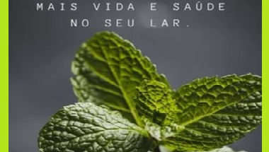 Curso de Farmácia Herbal Doméstica