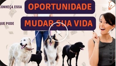 Formação Dog Walker PRO