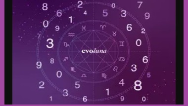 Mapa Numerológico Evoluna