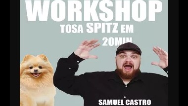 Workshop de Tosa do Spitz Alemão em 20 Minutos