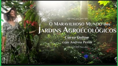 O Maravilhoso Mundo dos Jardins Agroecológicos