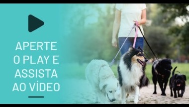 Curso de Pet Sitter